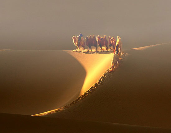 首届农民摄影大展作品：《夕阳大漠》摄影作者：钟祖依