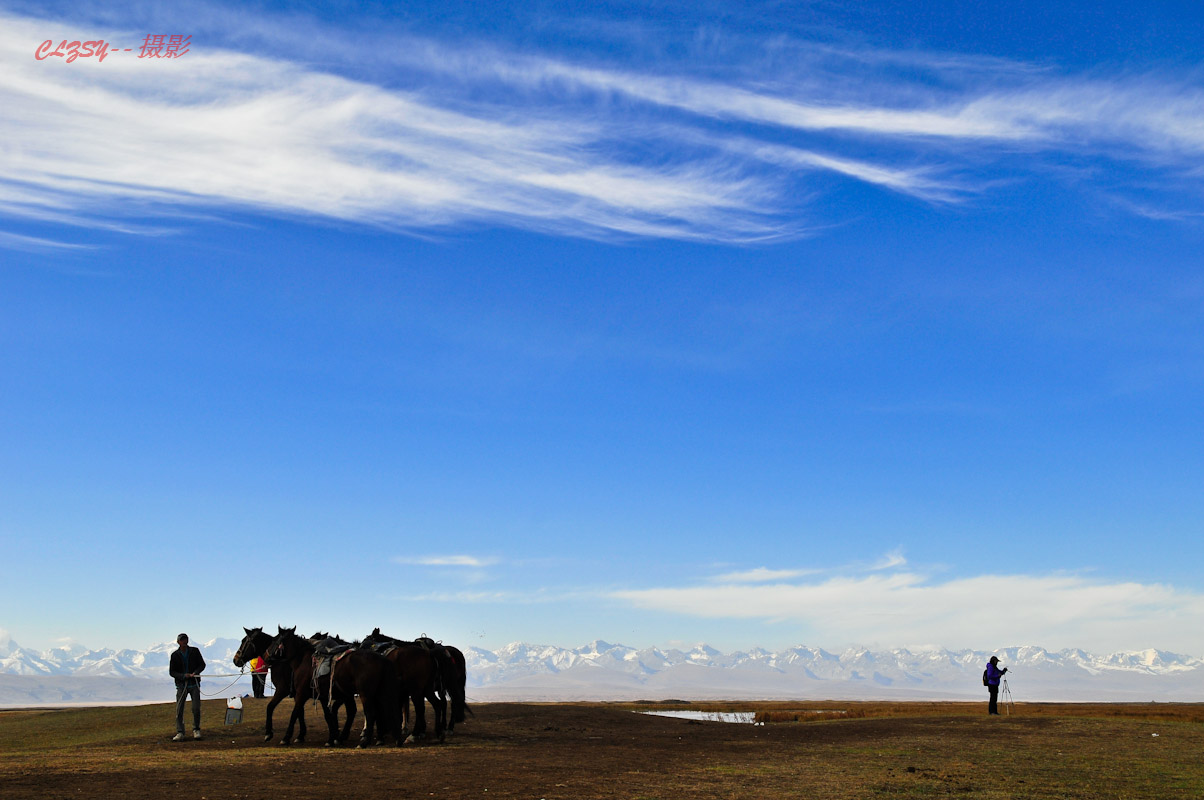 巴音布鲁克草原位于天山山脉中部的山间盆地中，四周为雪山环抱，海拔约2500米，面积22000平方公里，是中国第二大草原，仅次于内蒙古额尔多斯草原。
