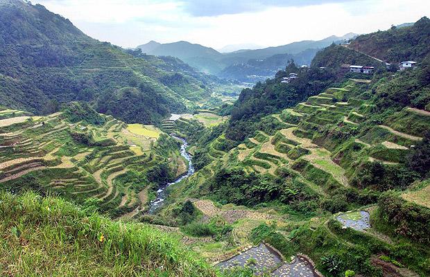 菲律宾，巴拿威梯田 两千年前在伊富高山地上建立起的巴拿威梯田占地4000平方英里（3600平方米）。但是采伐森林、气候改变和当地岛民搬到马尼拉导致这里传统农业无法进行下去的缘故，巴拿威梯田也成为濒临灭绝的一员。