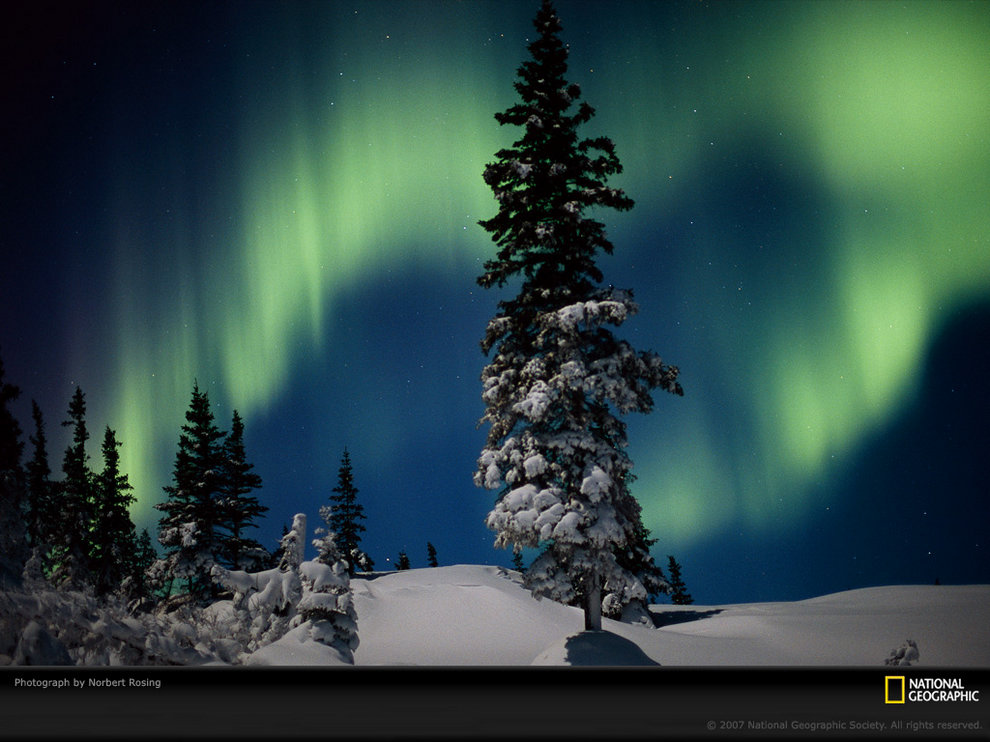 加拿大马尼托巴湖上空的极光 作者 Norbert Rosing