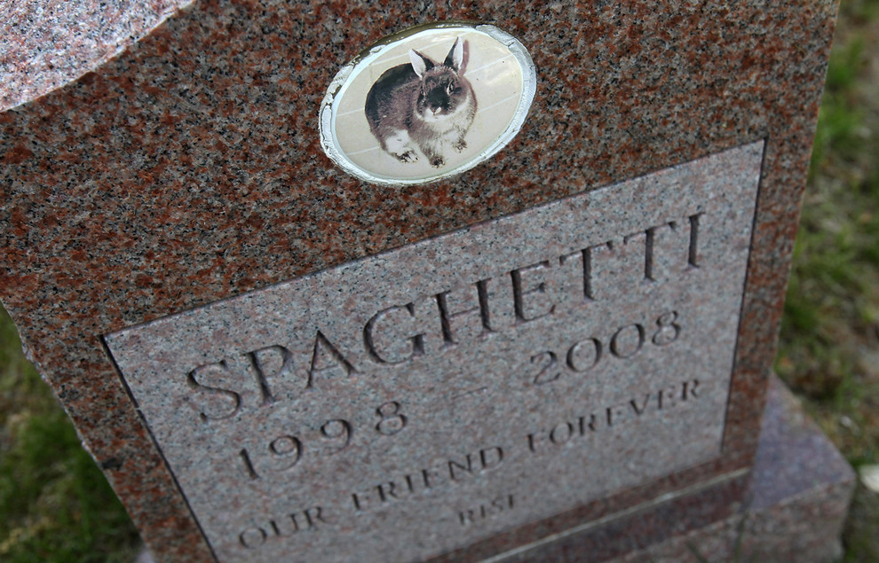 2012年4月30日，纽约州哈茨戴尔，在哈茨戴尔宠物墓地和火葬场，一块墓碑记载了一只宠物最后安息的地方。这个墓地建于1896年，是美国最古老的宠物墓地，是数万只动物安息的地方。宠物主人可以花2万美元买大块的土地埋葬多只宠物，如果选择火葬，可以花300-400美元买小块的土地埋葬骨灰。宠物主人甚至可以选择将来将自己的骨灰埋到同一块墓地，就在他们的宠物旁边。 (图片来源：John Moore/盖蒂图片社)