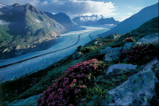 阿莱奇冰川是世界自然遗产， 被户外运动天堂阿莱奇森林所环绕。