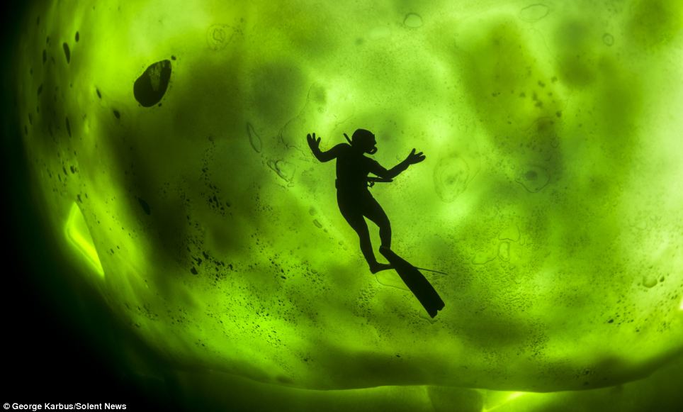 美轮美奂的一幕：在绝美北极光的衬托下，一位潜水员美丽的黑色剪影就这样永远留在了照片上。