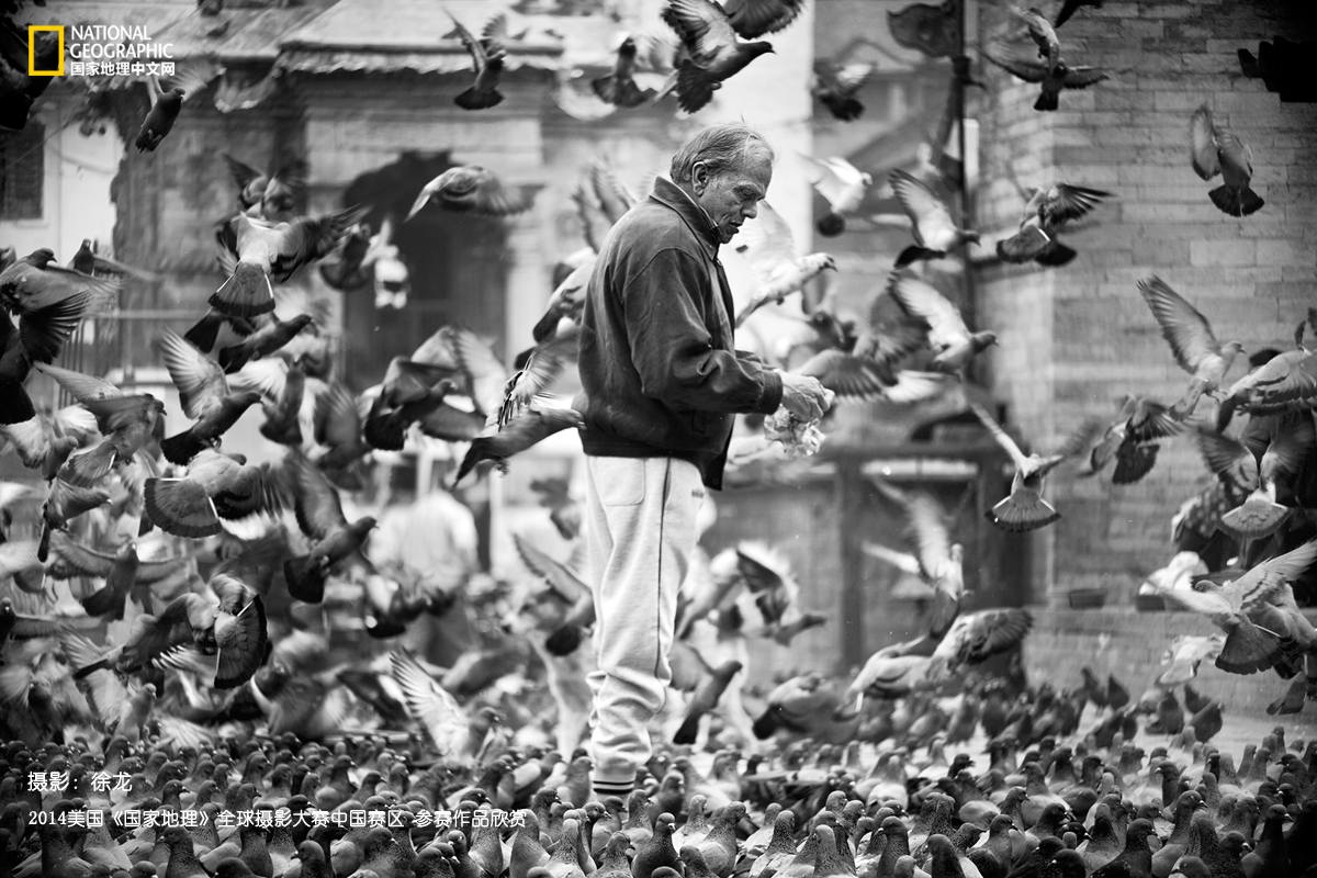 《爱在人间》 图片拍摄于尼泊尔的加德满都杜巴广场，清晨人们开始忙碌时也是摄影最好的时候，游走在加德满都的街头寻找着理想的画面，这幅作品正好是老人匆忙赶来喂鸽子时拍摄的。摄影：徐龙