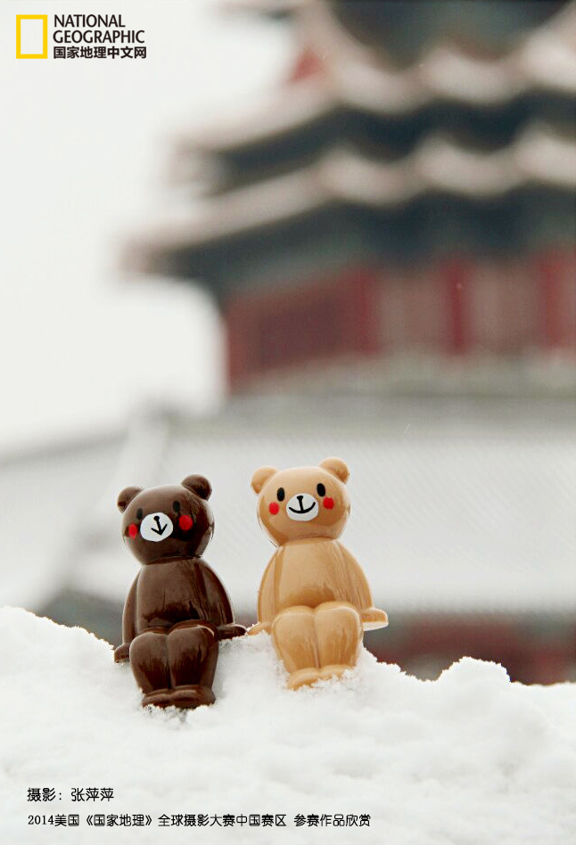 520微主题手机大奖 《最美的风景在一起》-2014年北京第一场雪，我和朋友路过故宫角楼，恰巧碰到有人带了这两只小熊摆放在雪堆之上，我觉得非常有趣，便拍下了这张照片。摄影：张萍萍。